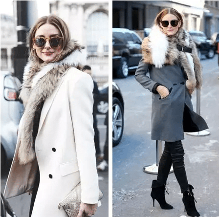 fur