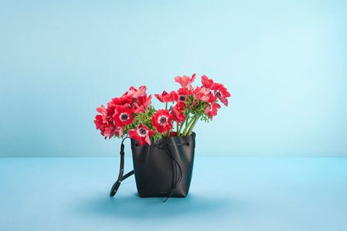 mansur-gavriel_north_499x_white